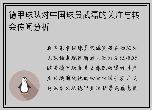 德甲球队对中国球员武磊的关注与转会传闻分析